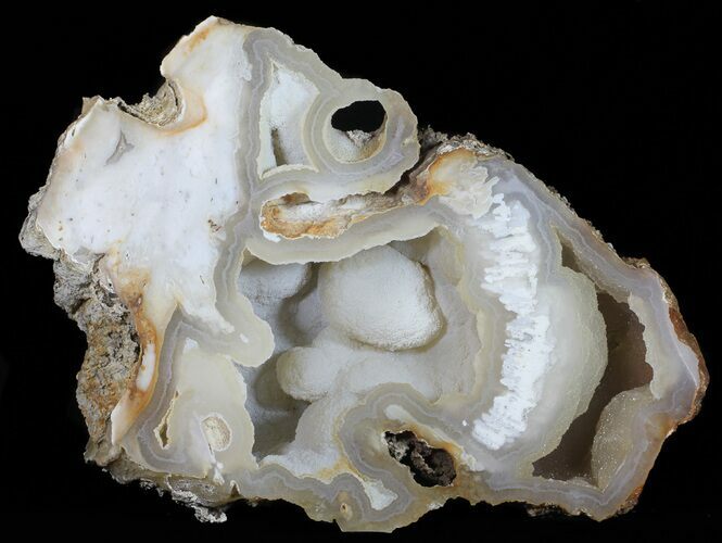 Agatized Fossil Coral With Druzy Quartz - Florida #50794